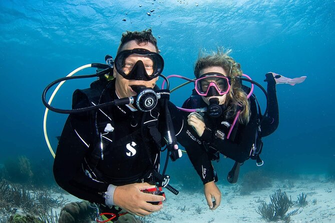 guided Shore Diving in Bonaire Marine Park with 2 Dives - Key highlights worth planning around