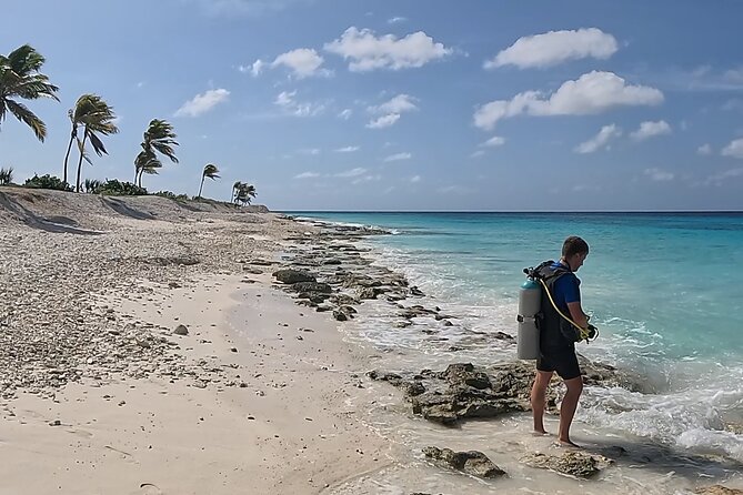 guided Shore Diving in Bonaire Marine Park with 2 Dives - Vista Blue Shore Spot: Why Easy Beach Access Matters