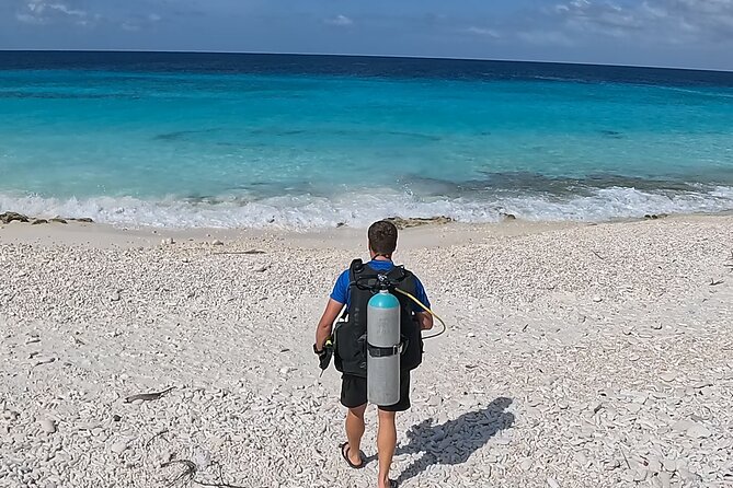 guided Shore Diving in Bonaire Marine Park with 2 Dives - Getting Picked Up in Bonaire Without Stress