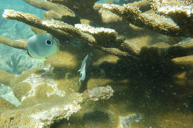 Guided Shore Diving Tour - How the 3 Hours Typically Feel Underwater