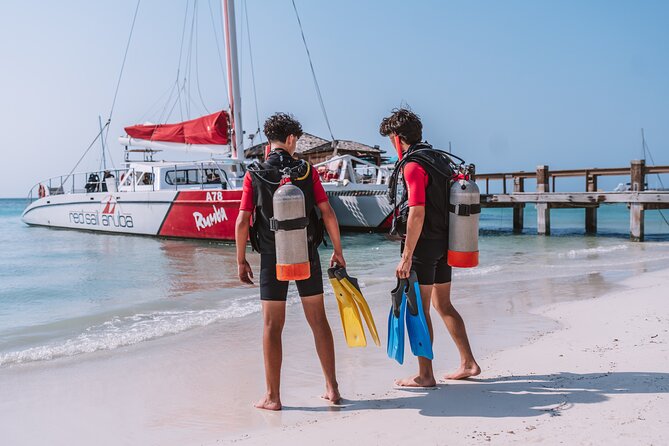 Half-Day Aruba Intro Diving Course for Beginners - What you might see under the surface: fish, coral, rays, turtles, and wreck life