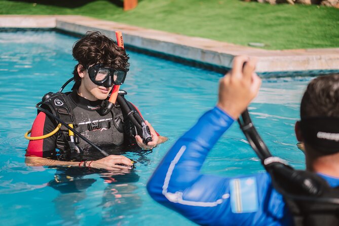 Half-Day Aruba Intro Diving Course for Beginners - Who this course is best for (and who should rethink it)