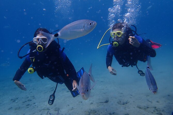 Half day boat diving experience for beginners in Kos Greece - The morning schedule: what happens between 08:30 and 14:30