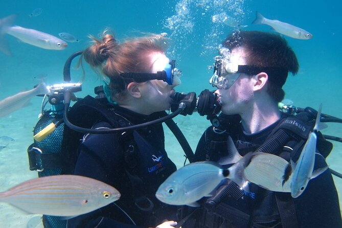 Half day boat diving experience for beginners in Kos Greece - Briefing and instructor support: where first-timers feel safe