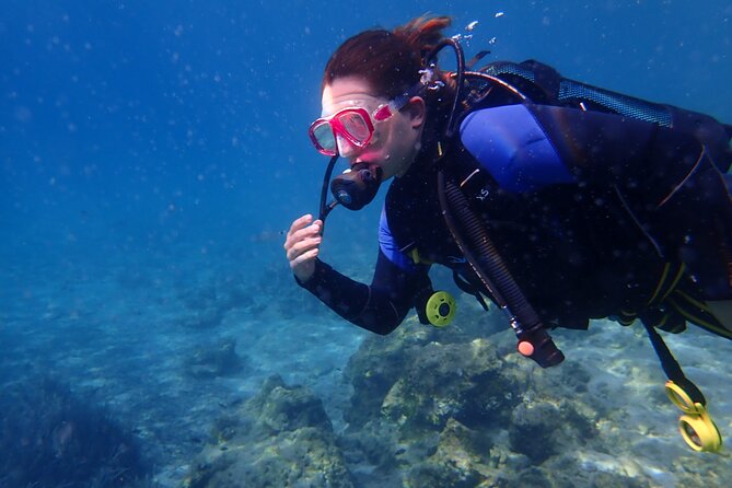 Half day boat diving experience for beginners in Kos Greece - Price and value: what you pay for, what costs extra