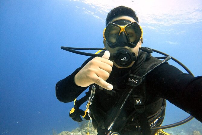 Half Day Diving adventure with Transportation Included - Key Highlights You’ll Actually Feel