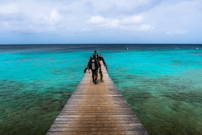 Half Day Diving adventure with Transportation Included - Shore Scuba in Curaçao: What Makes This Half-Day Different