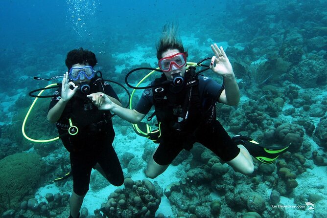 Half Day Diving adventure with Transportation Included - How the Half-Day Works: From Gear to Two Shore Sites