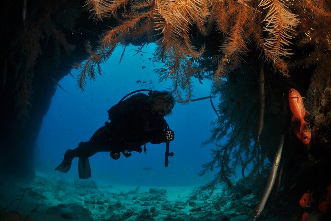 Half-Day Diving in Sal - Key Things That Make This Sal Underwater Session Worth It