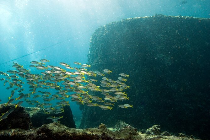 Half-Day Diving in Sal - Who This Half-Day Plan Fits Best (and Who Might Struggle)