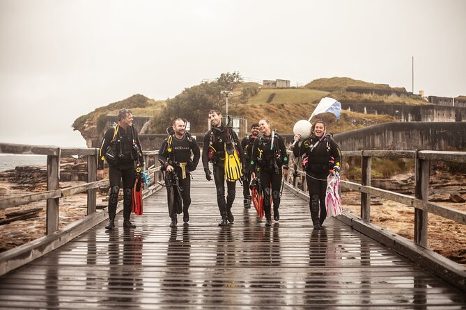 Half-Day Private Discover Dive at Australia's Iconic Beach - Key Points Worth Knowing