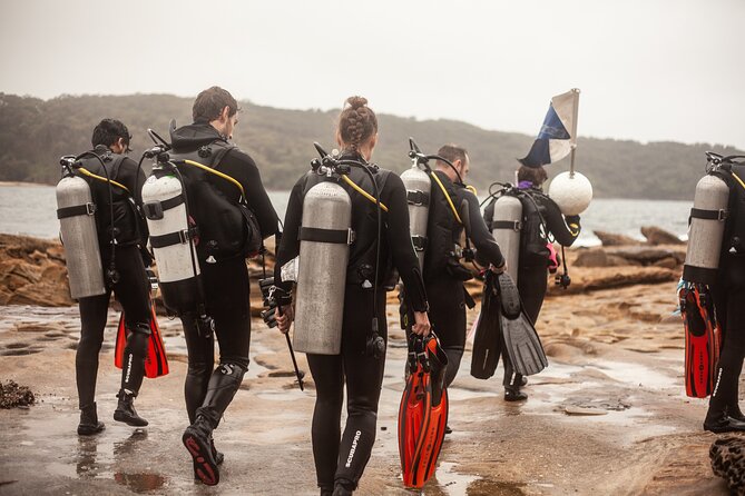 Half-Day Private Discover Dive at Australia's Iconic Beach - What You Need to Bring (and What the Shop Supplies)