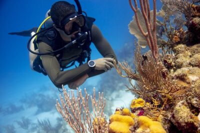 Half-Day Private Discover Dive at Australia's Iconic Beach - Ocean Time at Bondi: A Guided Underwater Experience With Marine Wildlife