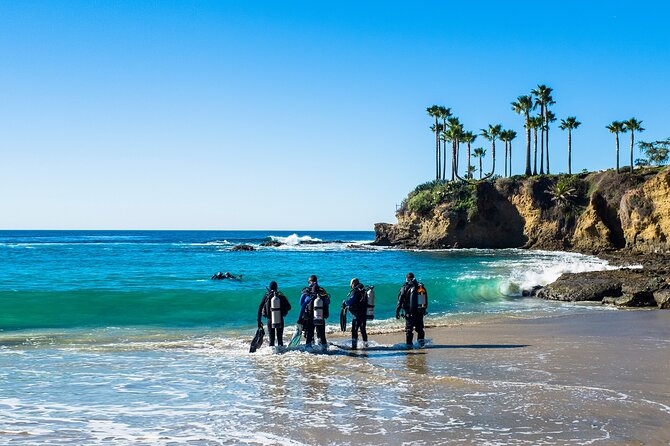 Half-Day Private Discover Dive at Australia's Iconic Beach - Price and Value: Is $376.55 a Good Deal for a First Scuba Trial?