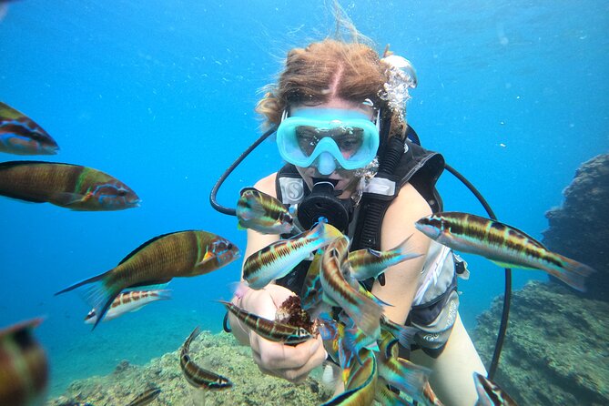 Half Day Scuba Diving @ Duden Waterfalls - Scuba Setup and Safety: What You Can Expect Before You Go In