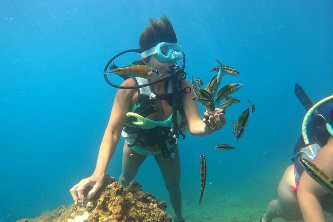 Half Day Scuba Diving @ Duden Waterfalls - Underwater Time: One Session for Beginners, Two for Experienced Swimmers