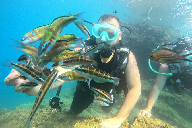 Half Day Scuba Diving @ Duden Waterfalls - What You’ll Actually Do in the Water