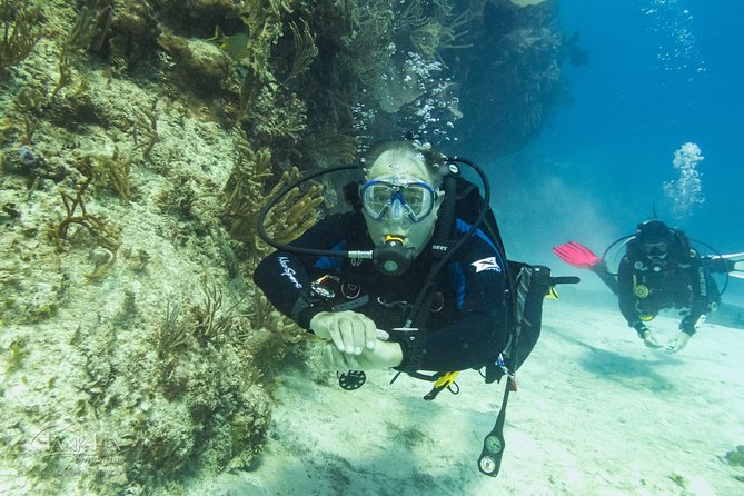 Half-Day Scuba Diving in Playa del Carmen for Small-Group - Price check: is $100 a good deal for this half-day?