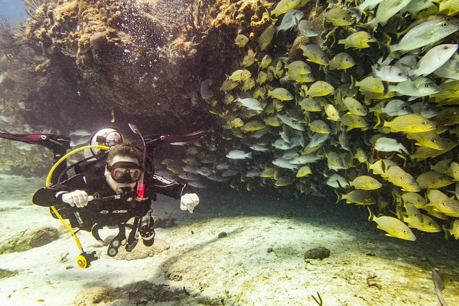 Half-Day Scuba Diving in Playa del Carmen for Small-Group - Practical logistics: transportation, what to bring, and weather reality