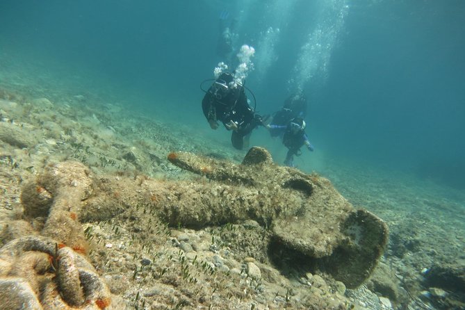 Half-Day Scuba Diving Tour - Discover Scuba Diving! - Safety, instructors, and the calm factor that makes first-timers succeed