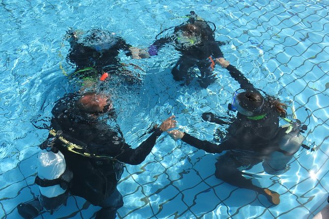 Half-Day Scuba Diving Tour - Discover Scuba Diving! - Photos and videos: what you can buy, and why cameras are limited