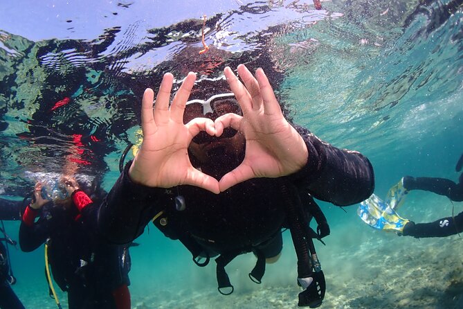 Half-Day Scuba Diving Tour - Discover Scuba Diving! - The 3-step flow: eLearning, pool skills, then the Roman Wall shore session