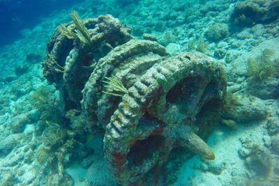 Half Day Scuba Diving Trip in the Florida Keys - What $115 covers: tanks, weights, and bottled water