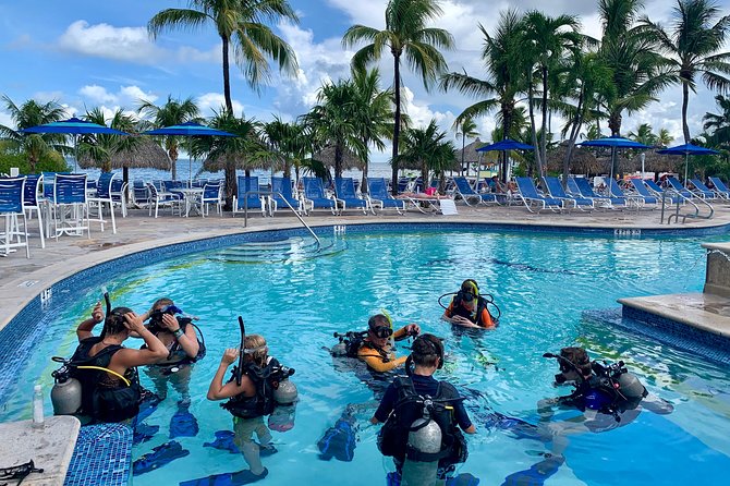 Half Day Scuba Diving Trip in the Florida Keys - Certification rules and the single-buddy problem