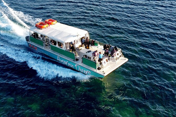 Half-Day Small-Group 2-Tank Scuba Dive in Key Largo (CERTIFIED DIVERS ONLY) - Your route in the water: sanctuary, Pennekamp, and Molasses Reef