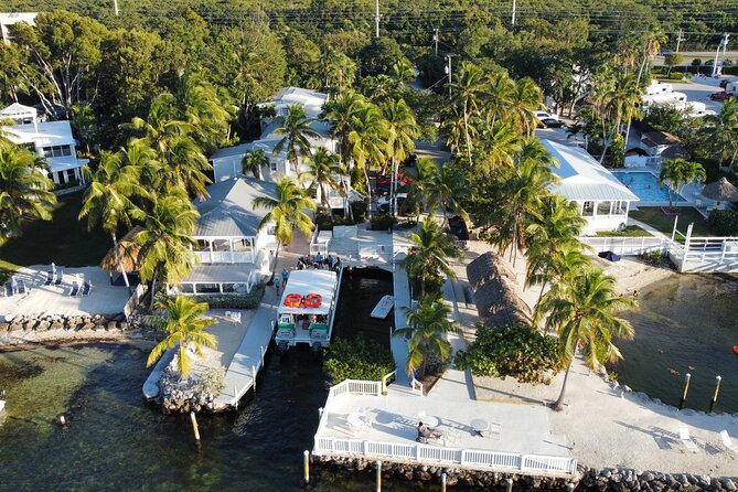 Half-Day Small-Group 2-Tank Scuba Dive in Key Largo (CERTIFIED DIVERS ONLY) - Sea life and reef scenery: what to look for