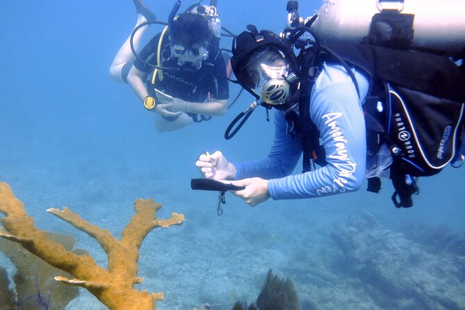 Half-Day Small-Group 2-Tank Scuba Dive in Key Largo (CERTIFIED DIVERS ONLY) - Safety, comfort, and what happens if conditions turn