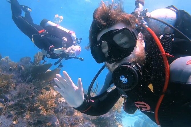 Half-Day Small-Group 2-Tank Scuba Dive in Key Largo (CERTIFIED DIVERS ONLY) - What’s included (and what costs extra)