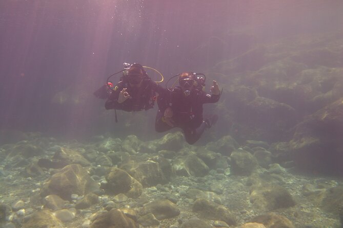 Half Day Snorkeling & Diving in Nice - Price and What You’re Really Paying For