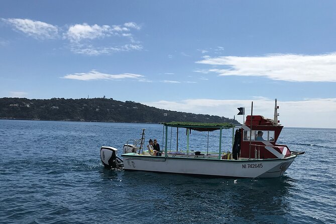 Half Day Snorkeling & Diving in Nice - Stop-by-Stop: Villefranche-sur-Mer, Cap de Nice, and St-Jean-Cap-Ferrat