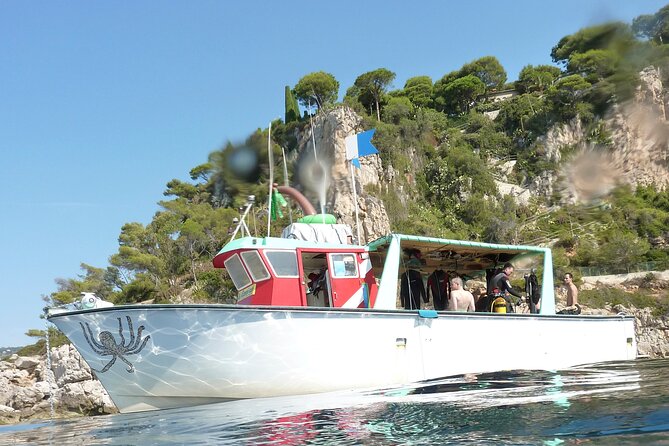 Half Day Snorkeling & Diving in Nice - What You’ll See Underwater: Mediterranean Life and Alps-to-Sea Geology
