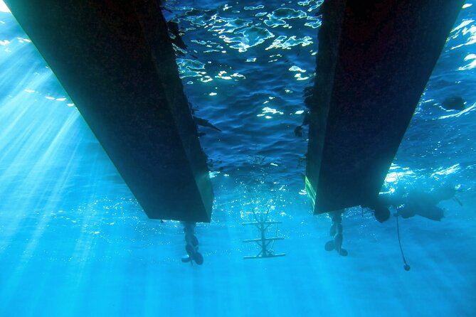 Half Day Snorkeling & Diving in Nice - Who This Trip Fits Best (and Who Should Consider Alternatives)
