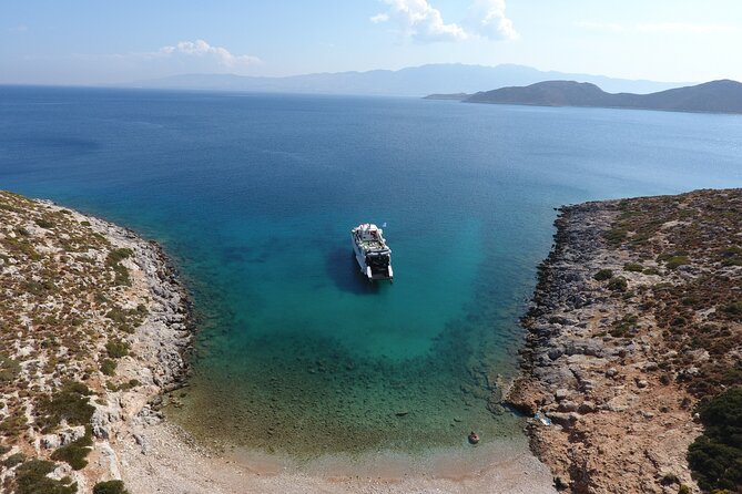 Half Day Snorkelling Experience with a dive boat in Kos Greece - Sea life odds: what you can realistically hope to see