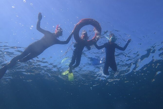 Half Day Snorkelling Experience with a dive boat in Kos Greece - The crew experience: why a small boat feels better