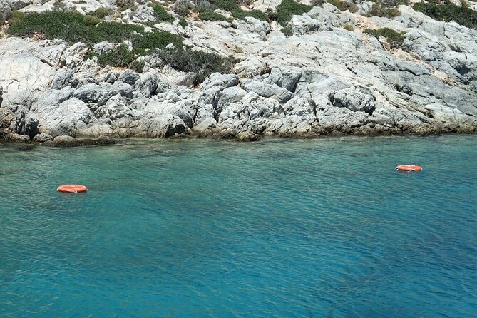 Half Day Snorkelling Experience with a dive boat in Kos Greece - Gear, comfort, and what you’ll want to bring