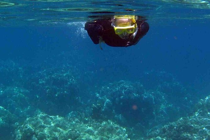 Half Day Snorkelling Experience with a dive boat in Kos Greece - Price and value: what $65.06 buys you in real terms