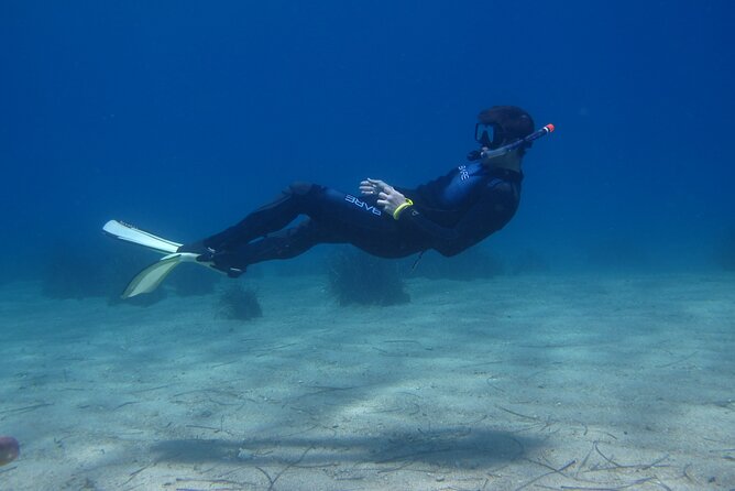 Half Day Snorkelling Experience with a dive boat in Kos Greece - Who should book this snorkeling half-day