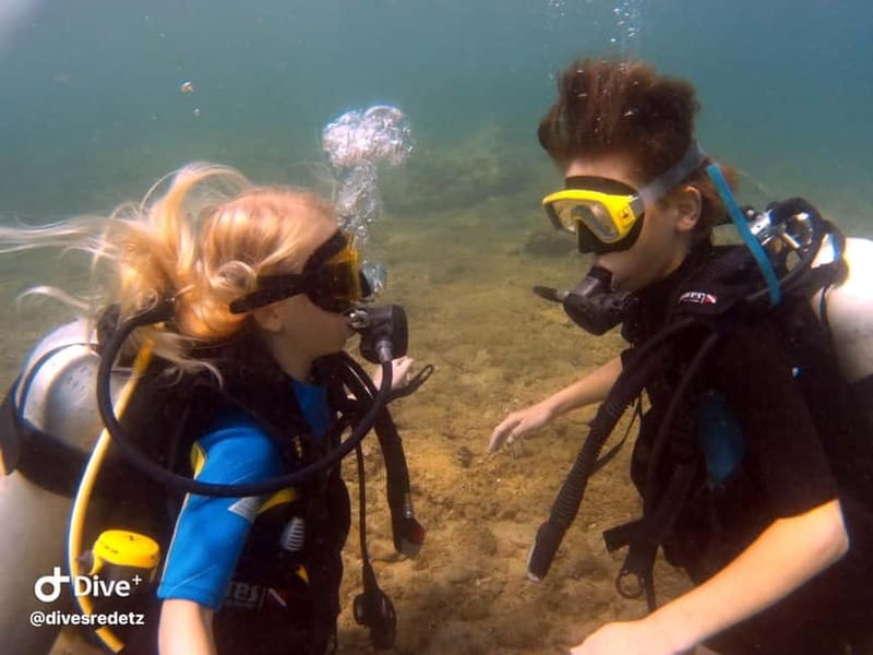 Halkidiki-Kassandra: Scuba Diving for Beginners - Your 30-minute first underwater session: calm breathing and real wildlife