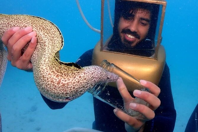Hartley Helmet Diving in Bermuda - What you’ll see on the sandy bottom: coral, named fish, and gentle close-up moments