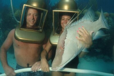 Hartley Helmet Diving in Bermuda - Getting kitted out: wetsuit, helmet, grab-bar, and first steps