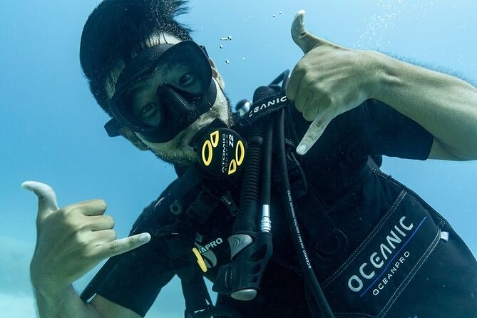 Hawaii DISCOVER Beginner + Certified 2 Tank Shallow Scuba Diving - Marine Life in the Area: What You Can Likely See and How to Enjoy It