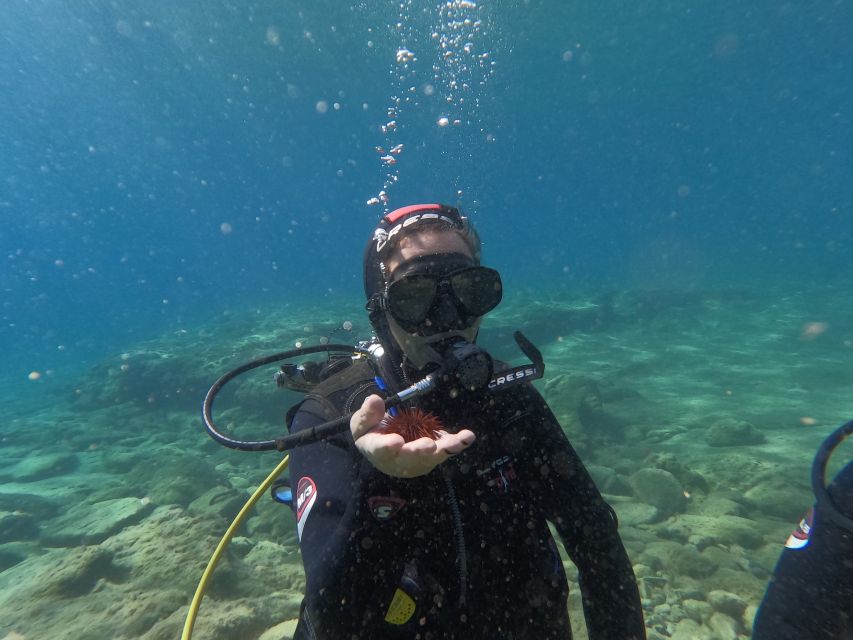 Heraklion: Beginner's intro dive w/2 Dives with transfer. - Who this course suits best (and who should skip it)