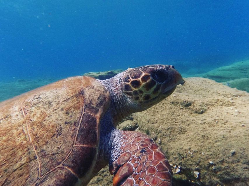 Heraklion: Beginner's intro dive w/2 Dives with transfer. - Getting there from Heraklion: the transfer rhythm