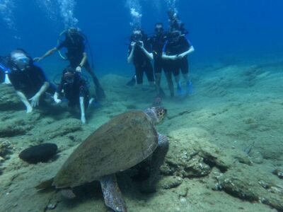 Heraklion: Beginner's intro dive w/2 Dives with transfer. - Price and value for $165: what’s included (and what isn’t)
