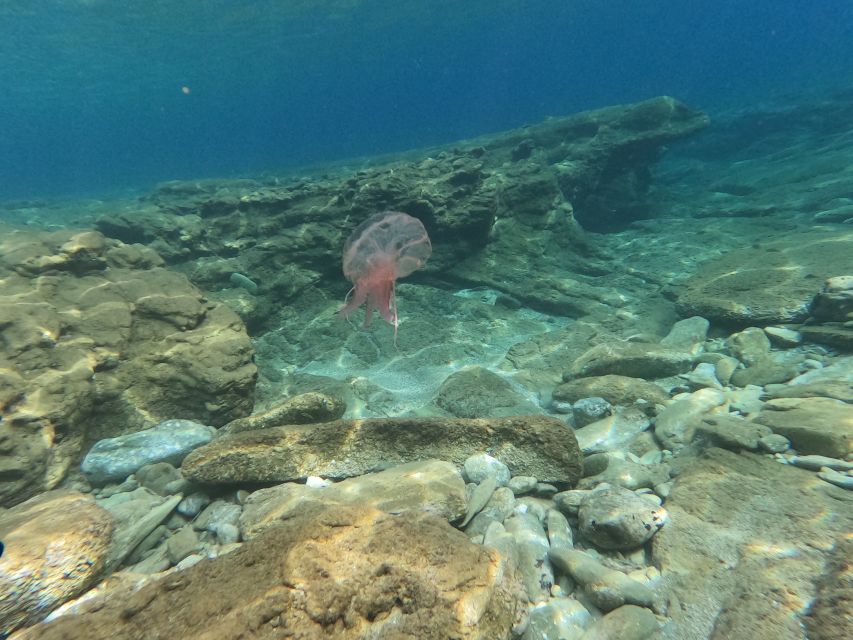 Heraklion: Beginner's intro dive w/2 Dives with transfer. - The 30-minute digital theory lesson: safety, simplified