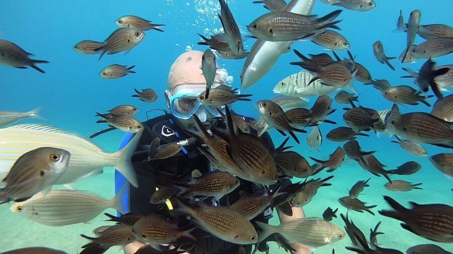 Heraklion: Beginner Scuba Diving Lesson with PADI Instructor - Should You Book This Beginner Scuba Lesson in Crete?